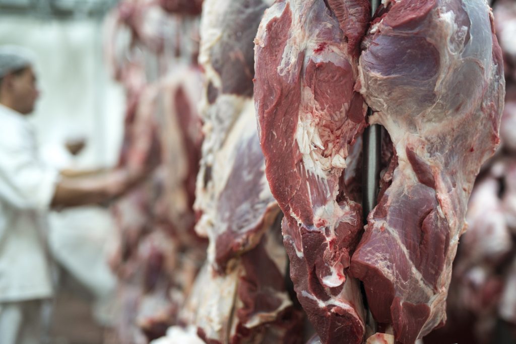 supplier daging sapi
