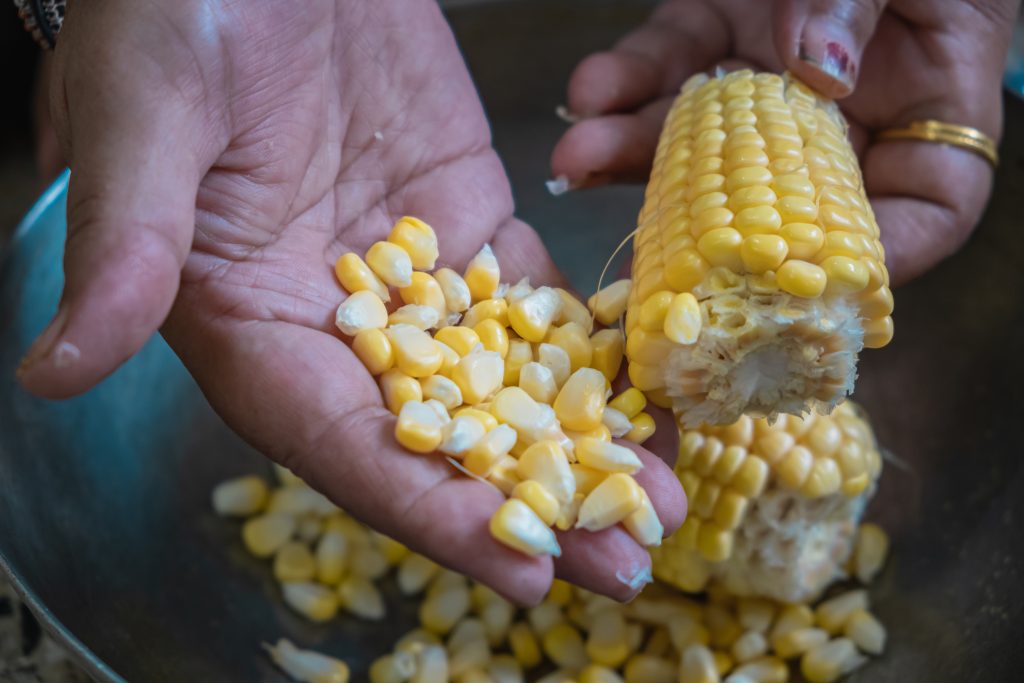 jagung