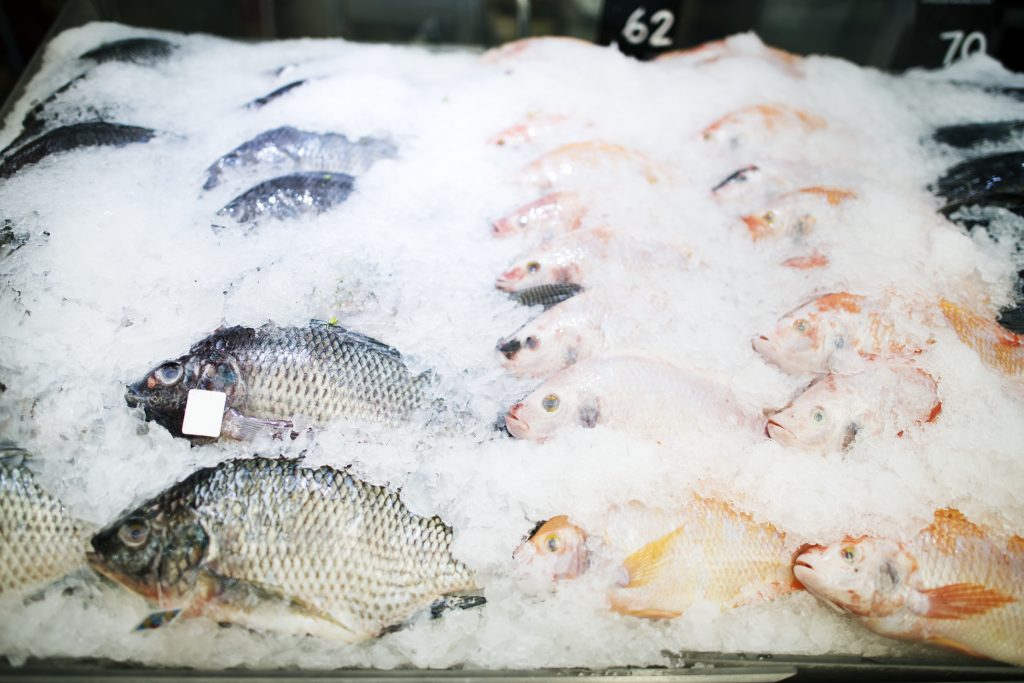 frozen seafood