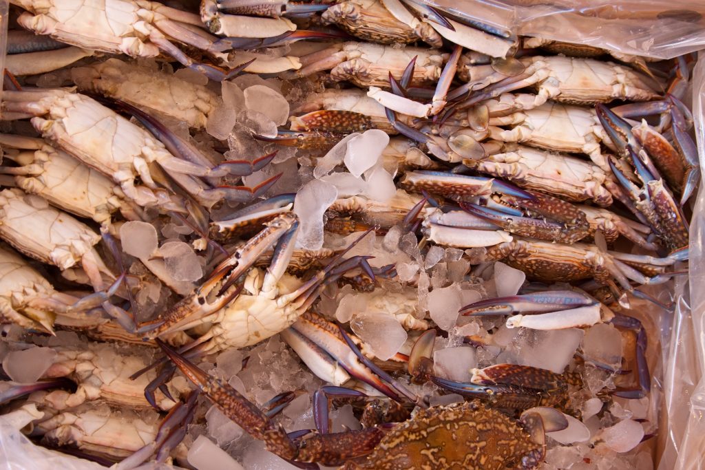 kepiting frozen