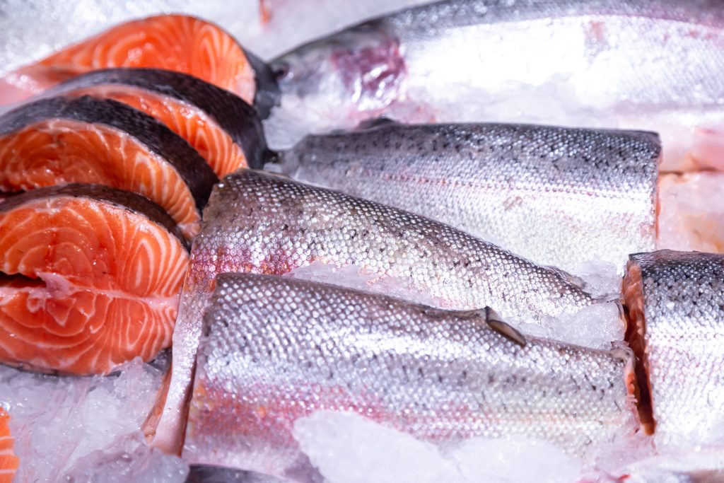 salmon frozen
