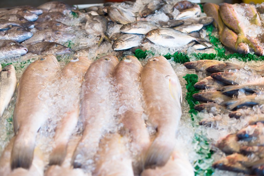 ikan dory frozen