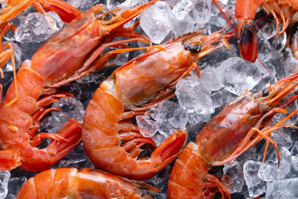 udang beku