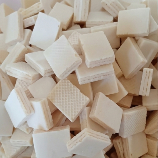 wafer supplier