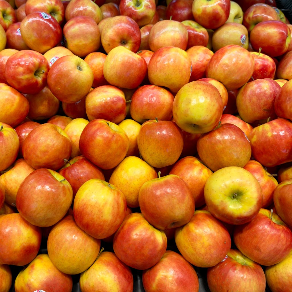 buah organik